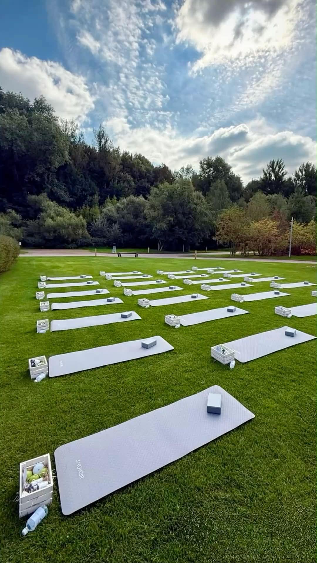 Mats in the field